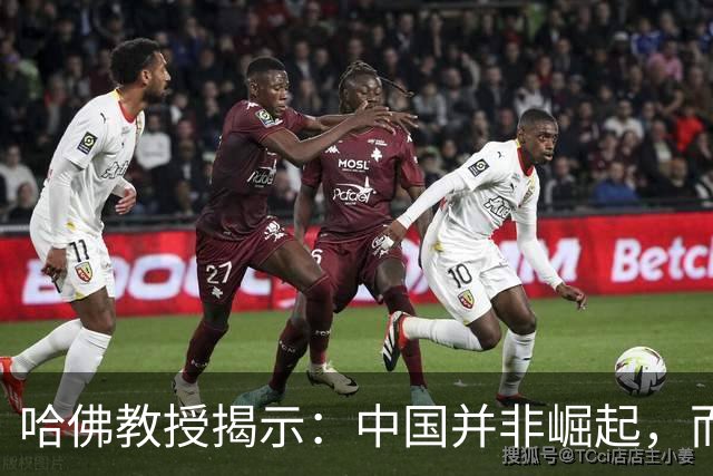 哈佛教授揭示：中国并非崛起，而是在回归历史位置